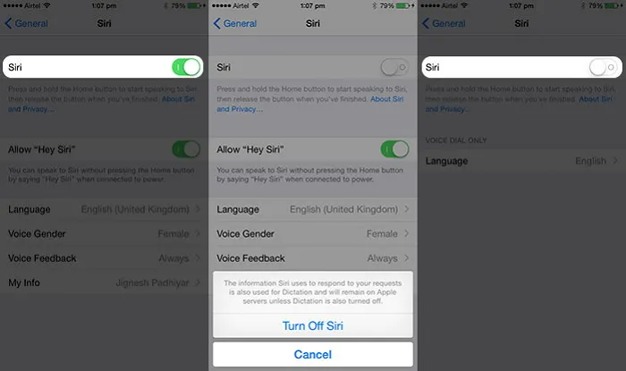 Effective Ways on How to Fix Siri Not Working on iPhone3