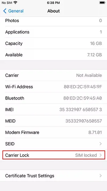 Effective Ways on How to Unlock A Carrier Locked iPhone