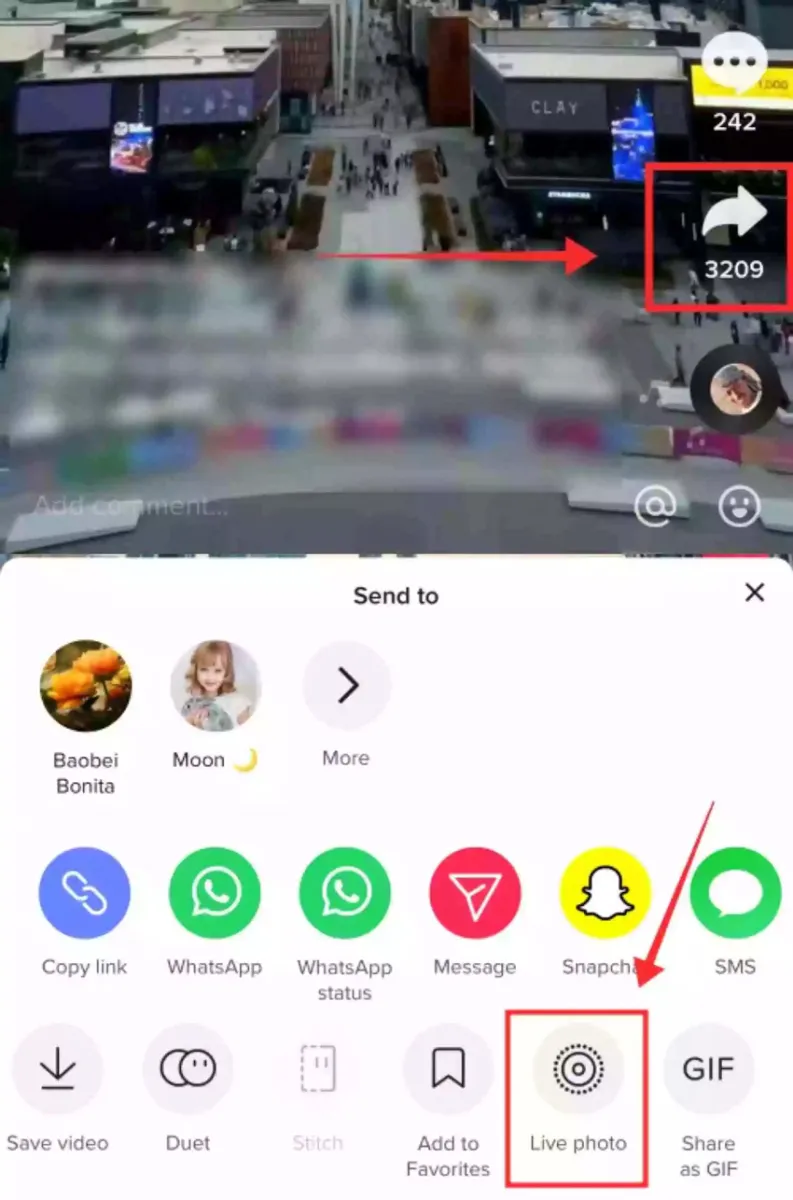 Remove TikTok Watermark for Free6
